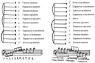 Схемы к ХХ главе 1 книги. Схема 4