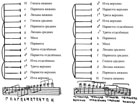 Схемы к ХХ главе 1 книги. Схема 6